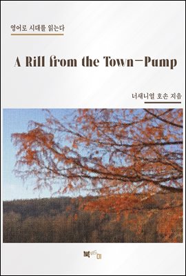 A Rill from the Town-Pump